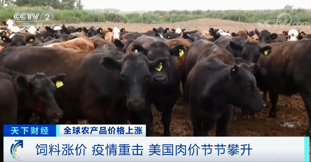 高粱大涨82.1％、玉米大涨45.5%！全球食品涨幅惊人！各地现食物短缺！